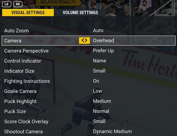 Screenshot of NHL 19 Visual and Display Settings